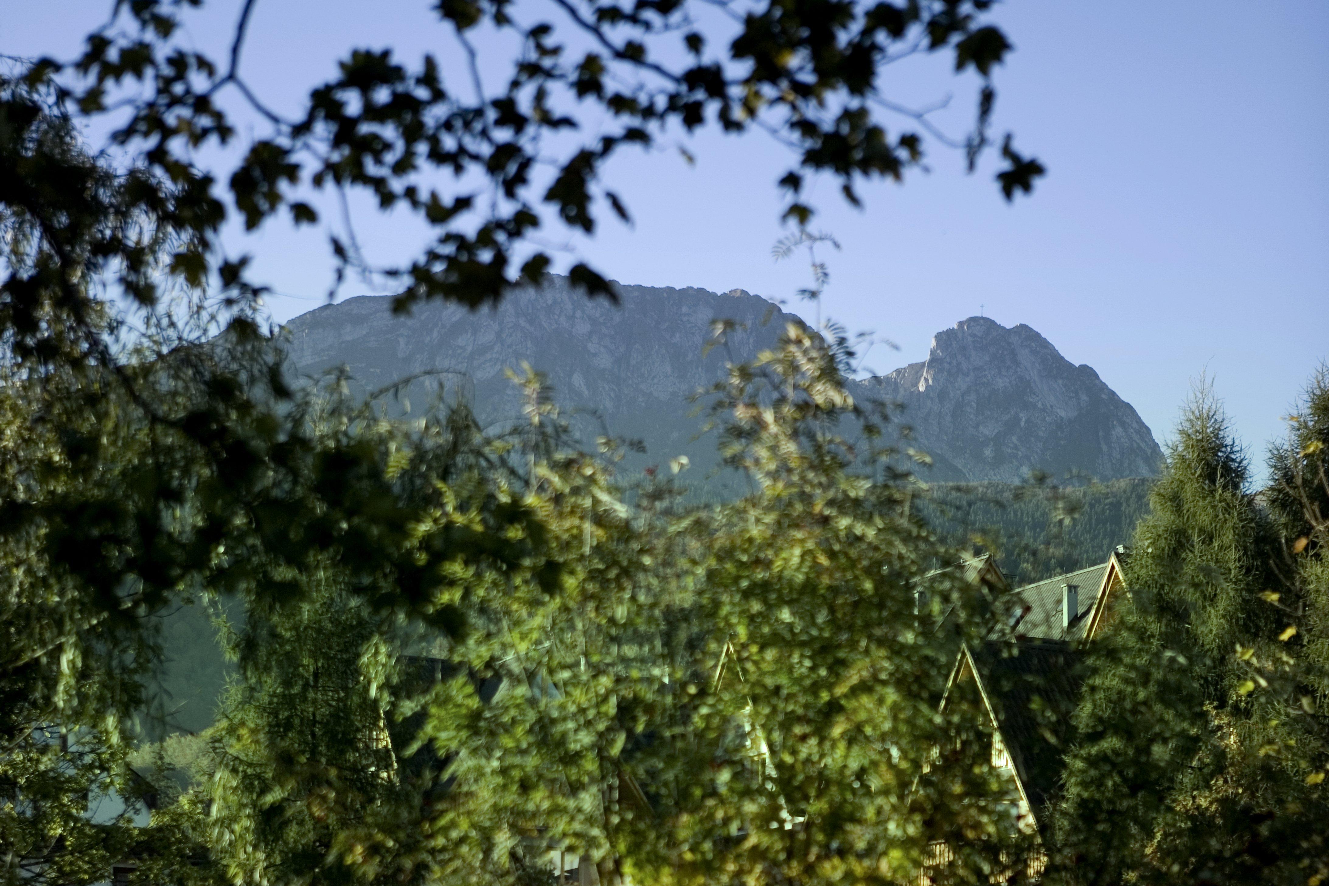 Szarotka Zakopane Exterior foto